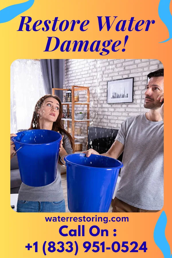water restoration Local Storm Recovery Masters Wilder