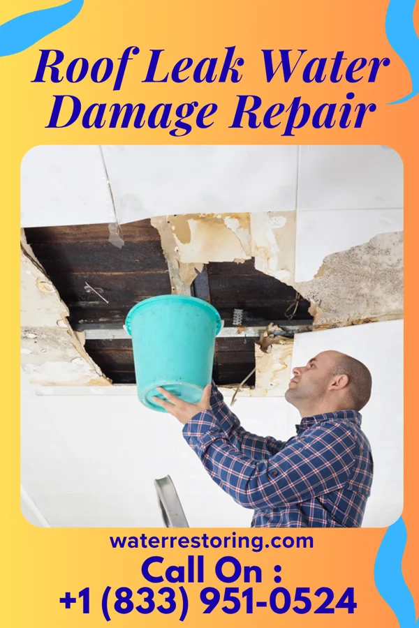 Roof Leak Water Damage Repair in Wilder, MN