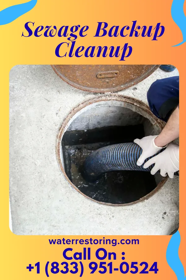 Sewage Backup Cleanup in Wilder, MN